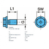 Болт пневмоподушки М16х65/SW 22  02.5070.95.00 BPW ГЕРМАНИЯ  