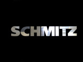 Накладка зеркал. SCHMITZ T900429 ТСП 